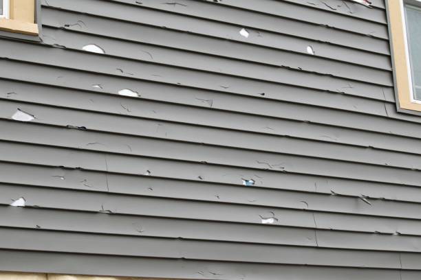 Best Shed Removal  in Port Washington North, NY